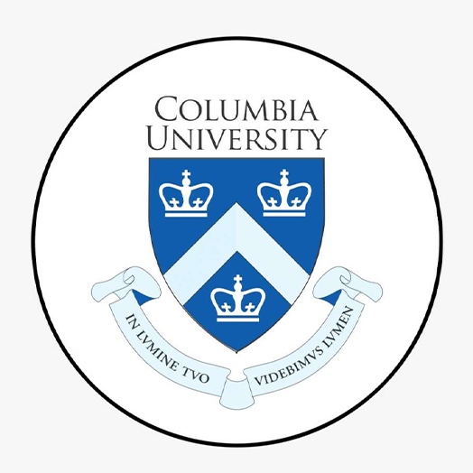 University Logo 8